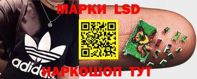 mdma Донецк