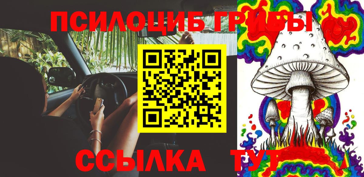 Псилоцибиновые грибы GOLDEN TEACHER Киреевск